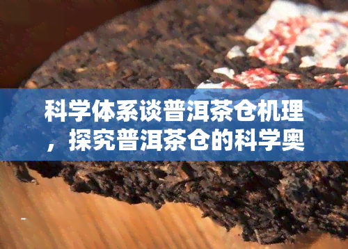 科学体系谈普洱茶仓机理，探究普洱茶仓的科学奥秘：仓机理解析