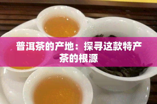 普洱茶的产地：探寻这款特产茶的根源