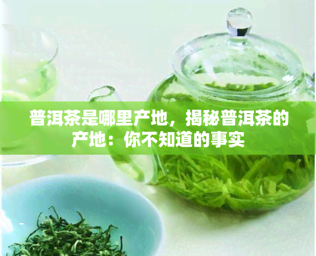 普洱茶是哪里产地，揭秘普洱茶的产地：你不知道的事实