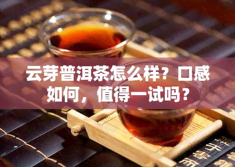 云芽普洱茶怎么样？口感如何，值得一试吗？