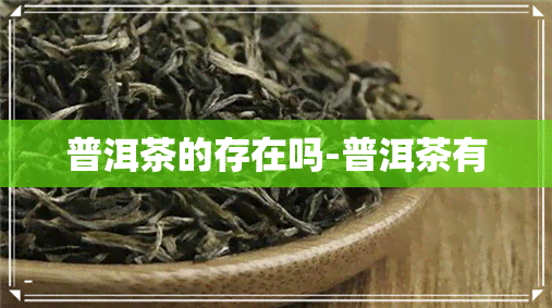 普洱茶的存在吗-普洱茶有