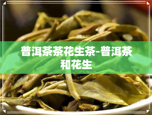 普洱茶茶花生茶-普洱茶和花生