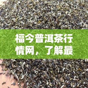 福今普洱茶行情网，了解最新普洱茶行情，就上福今普洱茶行情网！