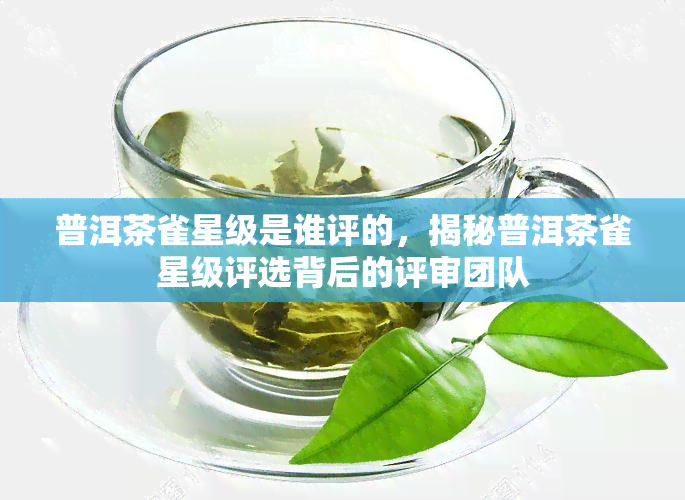 普洱茶雀星级是谁评的，揭秘普洱茶雀星级评选背后的评审团队