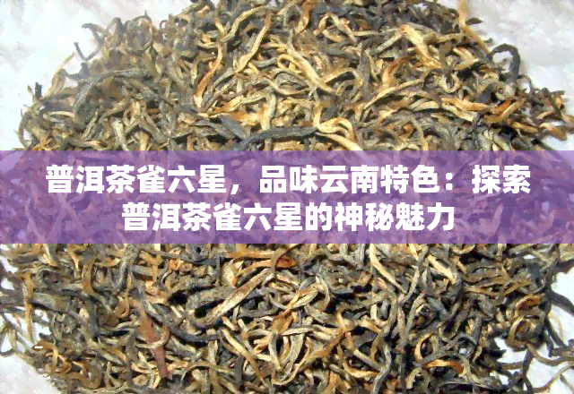 普洱茶雀六星，品味云南特色：探索普洱茶雀六星的神秘魅力