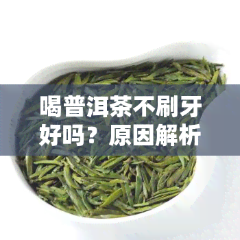 喝普洱茶不刷牙好吗？原因解析与女性影响