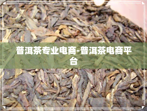 普洱茶专业电商-普洱茶电商平台