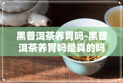 黑普洱茶养胃吗-黑普洱茶养胃吗是真的吗