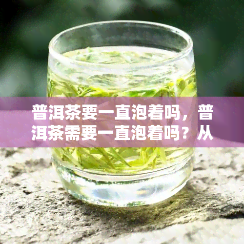 普洱茶要一直泡着吗，普洱茶需要一直泡着吗？从头到尾的冲泡技巧解析