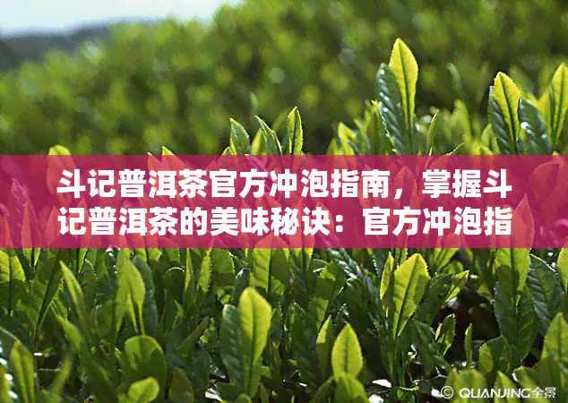 斗记普洱茶官方冲泡指南，掌握斗记普洱茶的美味秘诀：官方冲泡指南