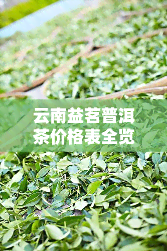 云南益茗普洱茶价格表全览：图片与详细介绍一应俱全