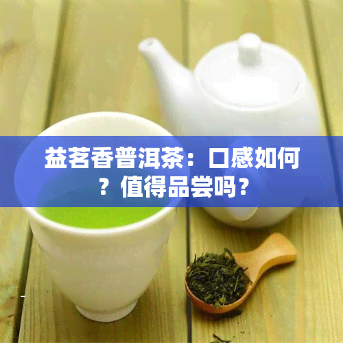 益茗香普洱茶：口感如何？值得品尝吗？