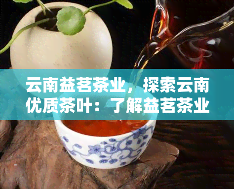 云南益茗茶业，探索云南优质茶叶：了解益茗茶业的独特风味