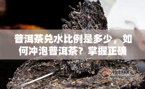 普洱茶兑水比例是多少，如何冲泡普洱茶？掌握正确兑水比例的技巧！