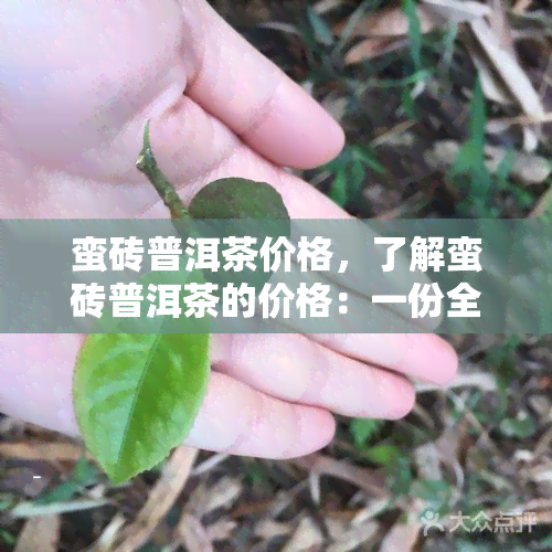 蛮砖普洱茶价格，了解蛮砖普洱茶的价格：一份全面的指南