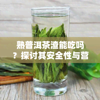 熟普洱茶渣能吃吗？探讨其安全性与营养价值