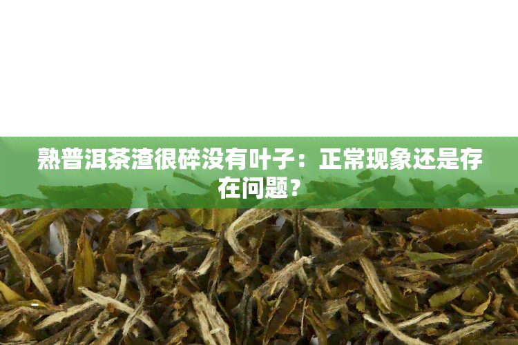 熟普洱茶渣很碎没有叶子：正常现象还是存在问题？