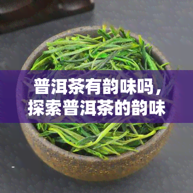 普洱茶有韵味吗，探索普洱茶的韵味：一种独特的品茗体验