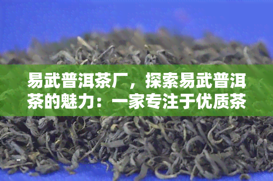 易武普洱茶厂，探索易武普洱茶的魅力：一家专注于优质茶叶生产的厂家