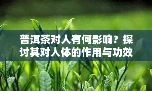 普洱茶对人有何影响？探讨其对人体的作用与功效