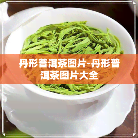 丹形普洱茶图片-丹形普洱茶图片大全