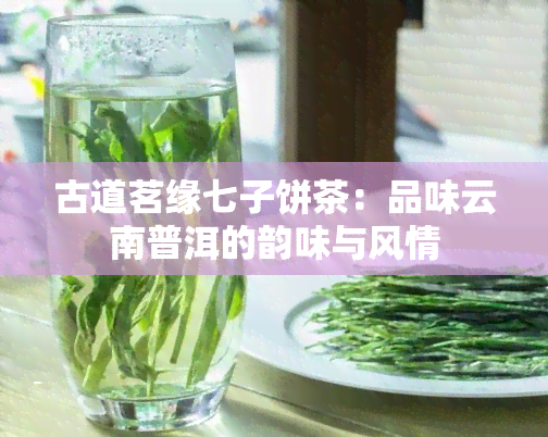 古道茗缘七子饼茶：品味云南普洱的韵味与风情