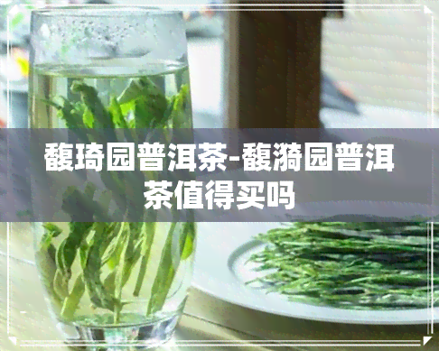 馥琦园普洱茶-馥漪园普洱茶值得买吗