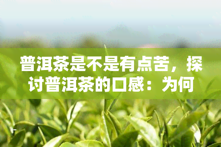 普洱茶是不是有点苦，探讨普洱茶的口感：为何会带有些苦涩？