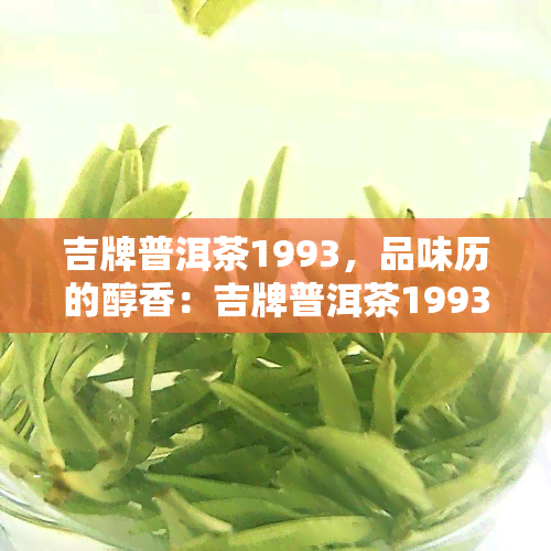 吉牌普洱茶1993，品味历的醇香：吉牌普洱茶1993