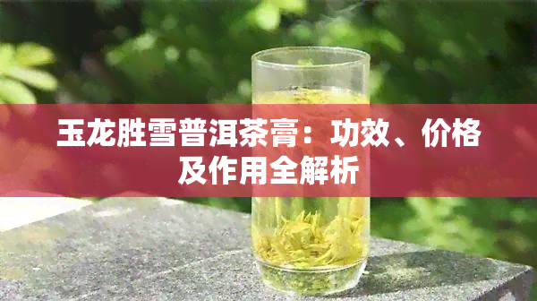 玉龙胜雪普洱茶膏：功效、价格及作用全解析