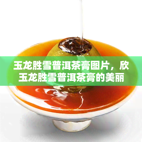 玉龙胜雪普洱茶膏图片，欣玉龙胜雪普洱茶膏的美丽图片