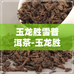 玉龙胜雪普洱茶-玉龙胜雪普洱茶膏价格