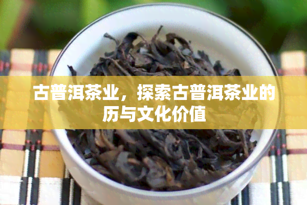 古普洱茶业，探索古普洱茶业的历与文化价值