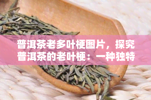 普洱茶老多叶梗图片，探究普洱茶的老叶梗：一种独特的口感和营养价值