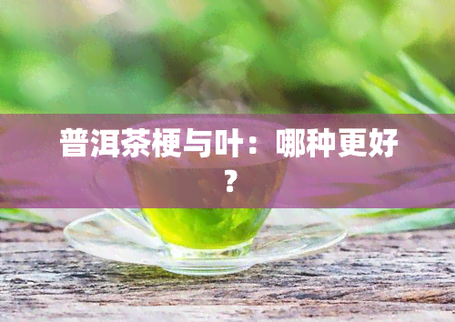 普洱茶梗与叶：哪种更好？