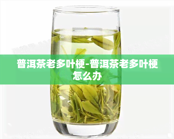 普洱茶老多叶梗-普洱茶老多叶梗怎么办