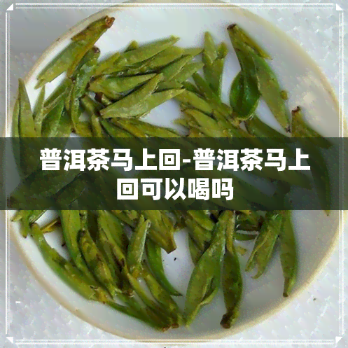 普洱茶马上回-普洱茶马上回可以喝吗