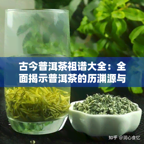 古今普洱茶祖谱大全：全面揭示普洱茶的历渊源与文化传承