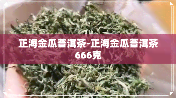 正海金瓜普洱茶-正海金瓜普洱茶666克