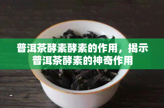 普洱茶酵素酵素的作用，揭示普洱茶酵素的神奇作用