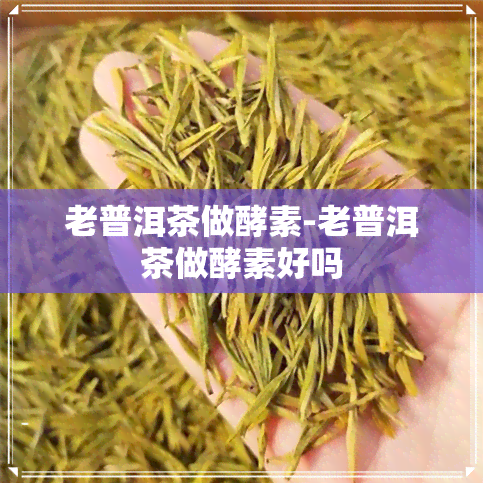 老普洱茶做酵素-老普洱茶做酵素好吗