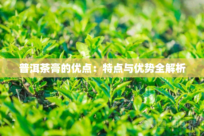 普洱茶膏的优点：特点与优势全解析