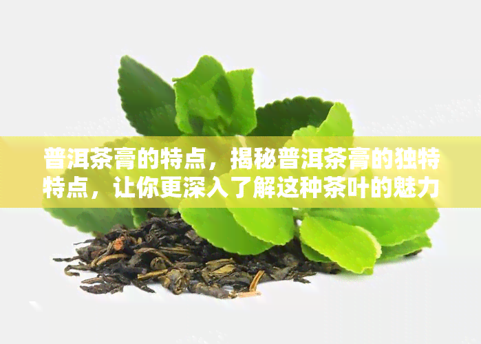 普洱茶膏的特点，揭秘普洱茶膏的独特特点，让你更深入了解这种茶叶的魅力