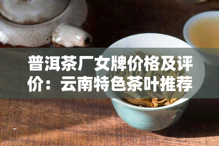 普洱茶厂女牌价格及评价：云南特色茶叶推荐