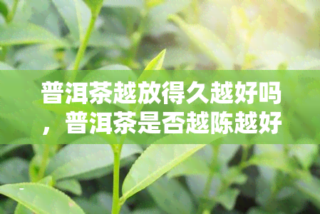 普洱茶越放得久越好吗，普洱茶是否越陈越好？探讨其存放时间的影响