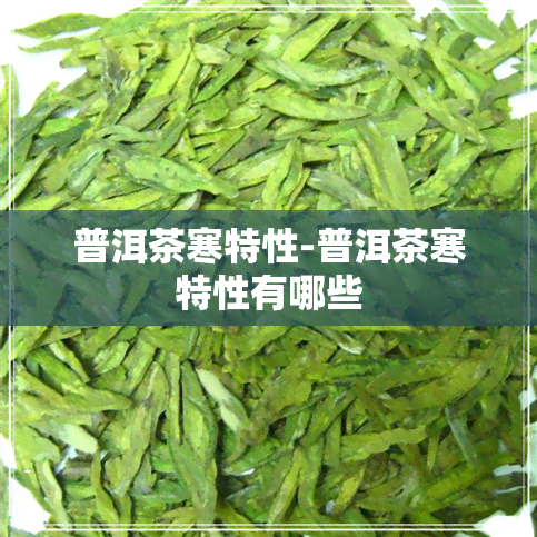 普洱茶寒特性-普洱茶寒特性有哪些