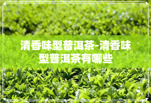 清香味型普洱茶-清香味型普洱茶有哪些