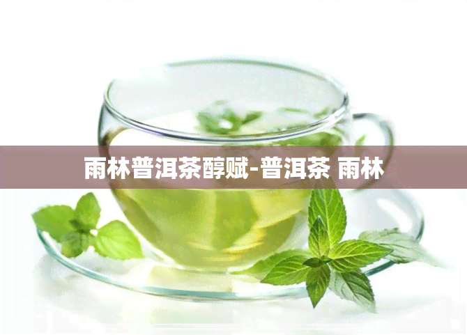 雨林普洱茶醇赋-普洱茶 雨林