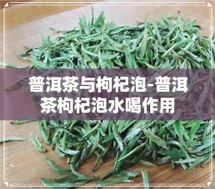 普洱茶与枸杞泡-普洱茶枸杞泡水喝作用