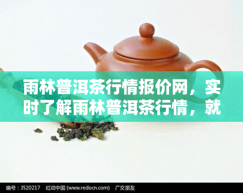 雨林普洱茶行情报价网，实时了解雨林普洱茶行情，就上雨林普洱茶行情报价网！